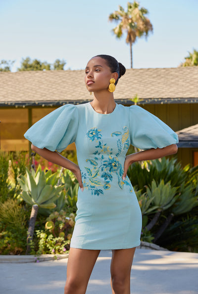 Amari Mini Dress